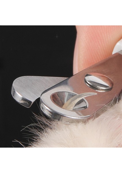 Stil 5 Yeşil 1 Adet Kediler Köpekler Tırnak Makası Keskin Paslanmaz Çelik Bıçak Kafa Evcil Tırnak Makası Küçük Büyük Evcil lar Pençe Bakım Malzemeleri Tırnak Giyotin (Yurt Dışından)