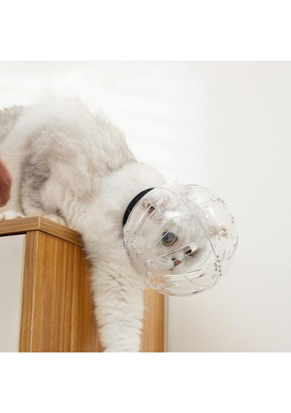 L Kedi Hood Uzay Topu Nefes Banyo Bakım Içi Boş Raptiye Bant Anti-Yalama Plastik Kediler Tırnak Kırpma Için Pet Namlu Maske (Yurt Dışından) fırsatları