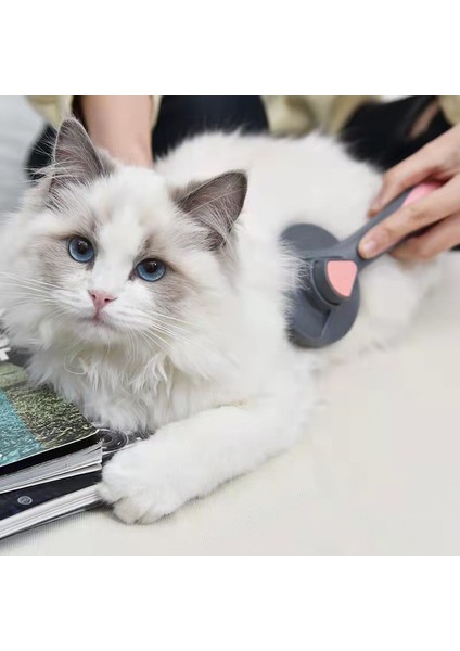 Kırmızı Pakeway Kedi Tarak Köpek Saç Çıkarıcı Fırça Pet Bakım Slicker Iğne Tarak Karışık Kendini Temizleyen Pet Malzemeleri Aksesuarları Kaldırır (Yurt Dışından) modelleri