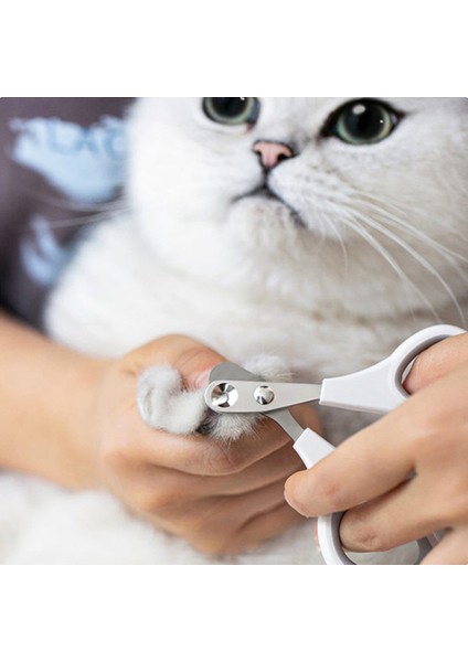 Stil 5 Yeşil 1 Adet Kediler Köpekler Tırnak Makası Keskin Paslanmaz Çelik Bıçak Kafa Evcil Tırnak Makası Küçük Büyük Evcil lar Pençe Bakım Malzemeleri Tırnak Giyotin (Yurt Dışından) fırsatları