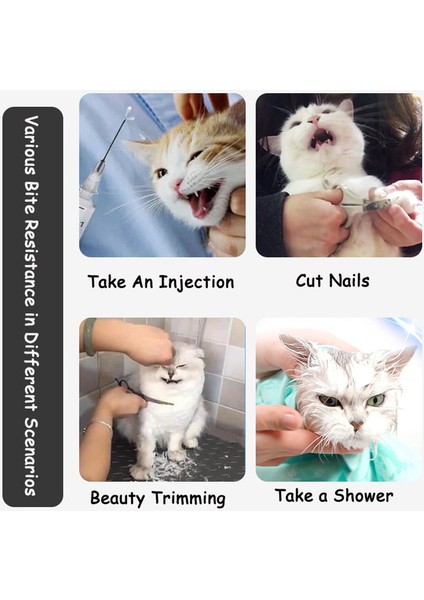Pet Namlu Kedi Namlu Anti Bite Nefes Bakım Maskesi Ağızlıklar Isırma Banyo Güzellik Seyahat Aracı Kat Bakım Malzemeleri Kedi Aksesuarları (Yurt Dışından) fiyatları