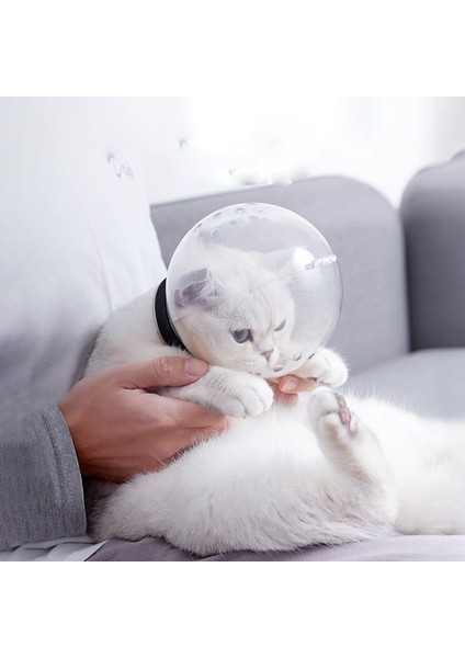 Pet Namlu Kedi Namlu Anti Bite Nefes Bakım Maskesi Ağızlıklar Isırma Banyo Güzellik Seyahat Aracı Kat Bakım Malzemeleri Kedi Aksesuarları (Yurt Dışından) indirimleri