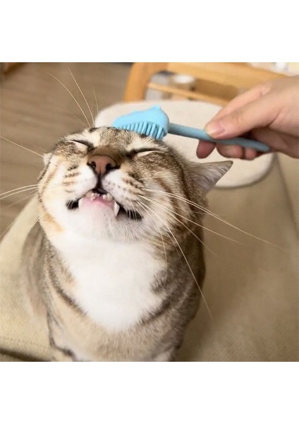 Siyah Kedi Tarak Pet Epilasyon Fırçası Kediler Köpek Kabartmak Temizleme Bakım Malzemeleri Gıdıklama Masaj Müzik Tarak Astar Karışık (Yurt Dışından) modelleri