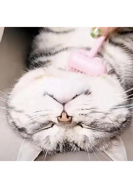 Siyah Kedi Tarak Pet Epilasyon Fırçası Kediler Köpek Kabartmak Temizleme Bakım Malzemeleri Gıdıklama Masaj Müzik Tarak Astar Karışık (Yurt Dışından) fırsatları