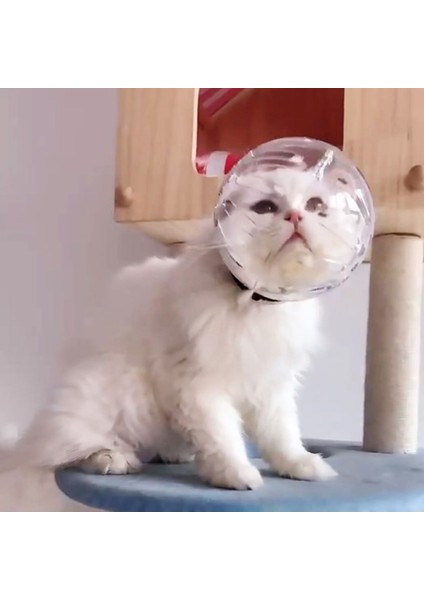 M Kediler Için Ağızlıklar Nefes Şeffaf Namlu Bakım Maskesi Astronot Kask Tırnak Kırpma Için Güncellenmiş Havalandırma Delikleri Anti-Bite (Yurt Dışından) indirimleri