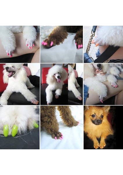 Pembe Xs 20 Adet Silikon Yumuşak Kedi Tırnak Kapağı Kedi Paw Pençe Evcil Tırnak Koruyucusu Kedi Tırnak Kapak Evcil Tırnak Koruyucusu Yavru Kedi Evcil Ürünleri (Yurt Dışından) fırsatları