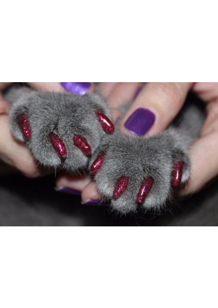 Mor Glitter M Yeni Moda Renk Kedi Tırnak Kapakları Yumuşak Kedi Pençe Yumuşak Paws100Pcs/Lot Yapışkanlı Tutkal İle Boyut Xs S M Lgift Evcil Hayvan Için (Yurt Dışından) fırsatları