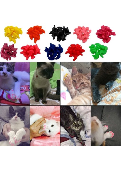 Açık Sarı M Yeni Moda Renkli Kedi Tırnak Kapakları Yumuşak Kedi Pençe Yumuşak Paws 20 Adet/grup Yapışkan Tutkal ile Boyut Xs S M Lgift Evcil Hayvan Için (Yurt Dışından) fırsatları
