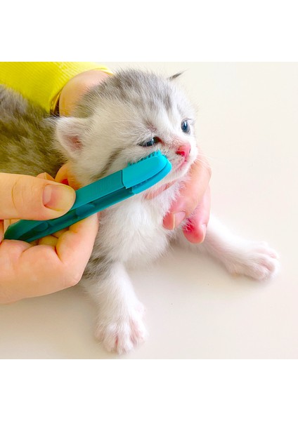 Yeşil Çevre Dostu Kedi Gözü Mendil Ovmak Yavru Göz Ovmak El Gözler Kaka Fırçası Temizleme Yeniden Kullanılabilir Toka Tasarım Pet Tarak Gözy Leke Fırçası (Yurt Dışından)