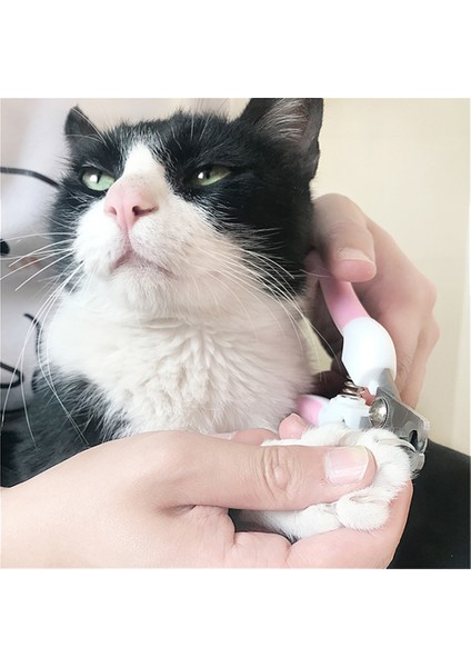 Pembe Profesyonel Evcil Hayvan Tırnak Makası Köpek Kedi Paslanmaz Çelik Iki Renkli Emek Tasarrufu Sağlayan Tırnak Makası Uygun Güzellik Temizlik Malzemeleri (Yurt Dışından) fırsatları