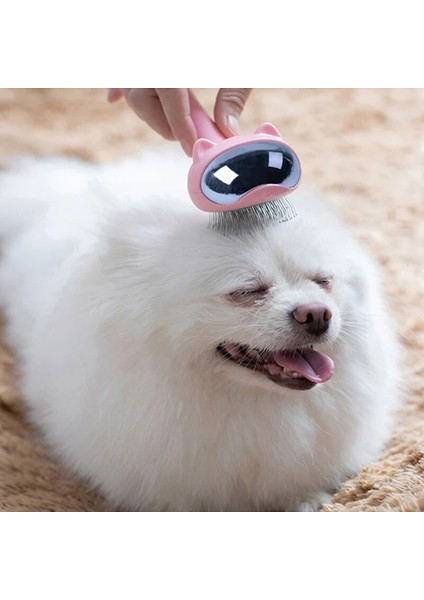 Köpek ve Kedi Için Mavi M Kendi Kendini Temizleyen Slicker Fırça Astarı Kaldırır Karışık Saç Masajları Parçacık Pet Tarak Dolaşımını Artırır (Yurt Dışından) indirimleri