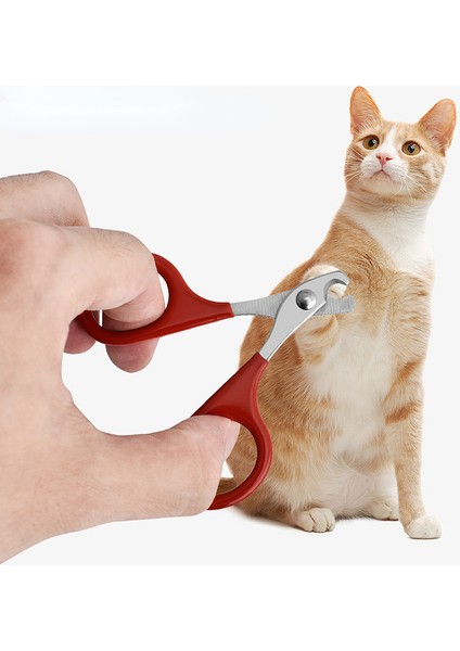 Stil 3 Profesyonel Evcil Hayvan Tırnak Makası Çelik Köpek Kedi Tırnak Giyotin Emek Tasarrufu Sağlayan Tırnak Makası Uygun Köpek Bakım Malzemeleri (Yurt Dışından) fırsatları