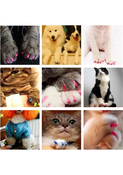 Stil 9 Xs Tırnak Kapakları Kedi Pençeleri Için Yumuşak Tırnak Kapakları Tutkal + Aplikatörler Kedi Pençeleri Için Çok Renkli Yumuşak Pençeler Tırnak Kapakları (Yurt Dışından) modelleri