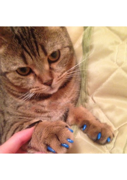 Gül Glitter S Yeni Moda li Kedi Tırnak Kapakları Yumuşak Kedi Pençe Yumuşak Paws 20 Adet/ grup Yapışkan Tutkal ile Boyut Xs S M Lgift Evcil Hayvan Için (Yurt Dışından) fırsatları