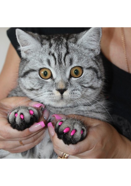 Pembe S-Cat Yumuşak Kedi Tırnak Kapakları Köpek Paw Tırnak Koruyucu Pençe Kap Yavru Tırnak Kapak Pet Paws Yapışkanlı Tutkal İle Caps Kedi Bakım Malzemeleri (Yurt Dışından) fırsatları