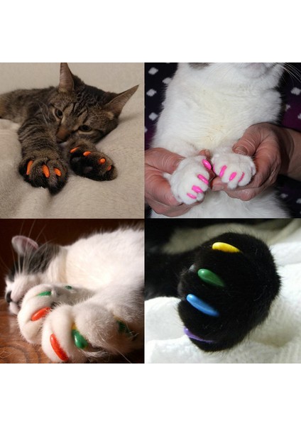Pembe S-Cat Yumuşak Kedi Tırnak Kapakları Köpek Paw Tırnak Koruyucu Pençe Kap Yavru Tırnak Kapak Pet Paws Yapışkanlı Tutkal İle Caps Kedi Bakım Malzemeleri (Yurt Dışından) indirimleri
