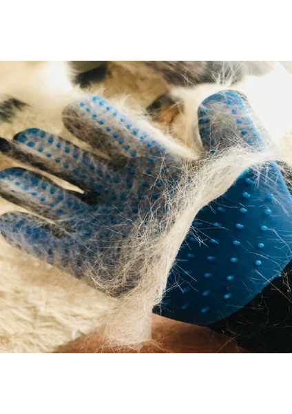 Mavi Sol El Sarung Tangan Perawatan Kucing Köpek Kedi Pet Tarak Bakım Dökülme Fırçası Eldiven Temizlik Sırt Masajı Hayvan Banyo (Yurt Dışından)