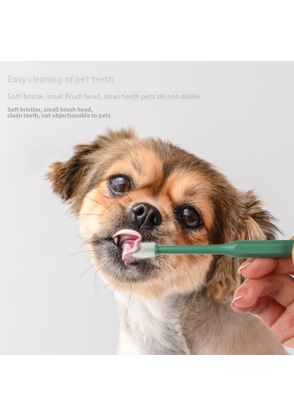 Açık Mavi Yuvarlak Kafa Pet Diş Fırçası Köpek Diş Fırçası Kedi Diş Fırçası Kedi 360 Derece Ağız Temizleme Köpek Diş Fırçası Pet Malzemeleri (Yurt Dışından)