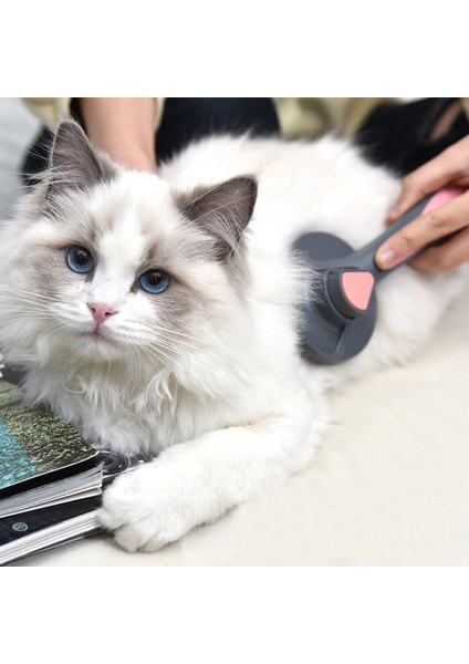 Gri Kedi Köpek Tarak Köpek Saç Çıkarıcı Fırça Pet Bakım Slicker Iğne Tarak Saç Karışık Kendi Kendini Temizleyen Kedi Malzemeleri Aksesuarları Kaldırır (Yurt Dışından) modelleri