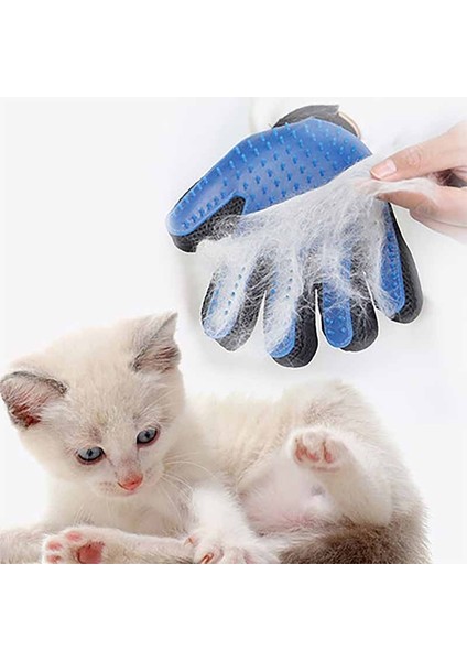 Mor 01 Kedi Pet Bakım Fırçası Eldiven Temizleme Sırt Masajı Hayvan Banyo Epilasyon Köpek Taraklar Kedi Fırça Pet (Yurt Dışından) indirimleri