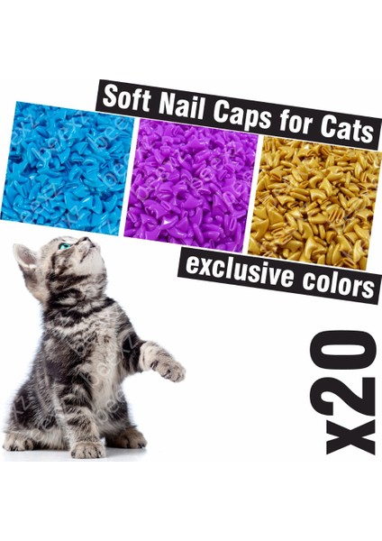 Mavi L 20 Adet - Kediler Için Yumuşak Tırnak Başlıkları + 1x Yapışkan Tutkal + 1x Aplikatör /* Xs, S, M, L, Kapak, Kedi, Pençe, Pençe, Zep */ (Yurt Dışından)