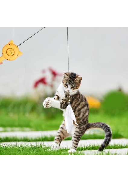 Sarı 5in1 Pet Bakım Tarağı Kedi Dökülme Fırçası Saç Kürk Sökücü Tarak Kedi Sopa Oyuncaklar Lazer Kedi Oyuncak Yavru Oynarken Teaser Değnek Oyuncak (Yurt Dışından) fiyatları
