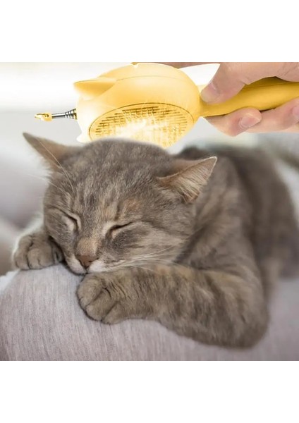 Sarı 5in1 Pet Bakım Tarağı Kedi Dökülme Fırçası Saç Kürk Sökücü Tarak Kedi Sopa Oyuncaklar Lazer Kedi Oyuncak Yavru Oynarken Teaser Değnek Oyuncak (Yurt Dışından) fırsatları