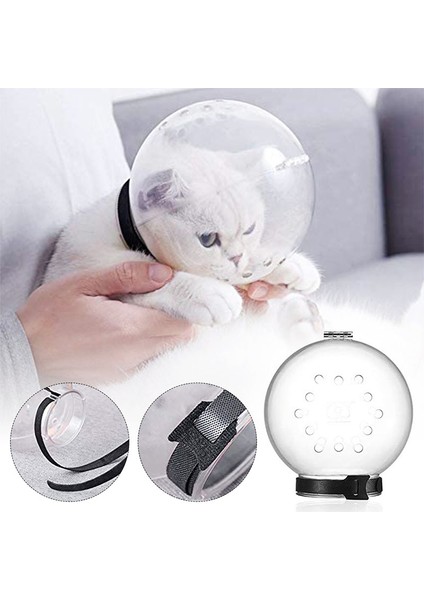 Beyaz Kedi Namlu Anti Bite Nefes Alabilir Bakım ve Bakım Alanı Hood Ağız Maskeleri Isırma Banyosu Bakım Evcil Hayvanlar Kediler Aksesuarları Için Ağızlıklar (Yurt Dışından) fiyatları