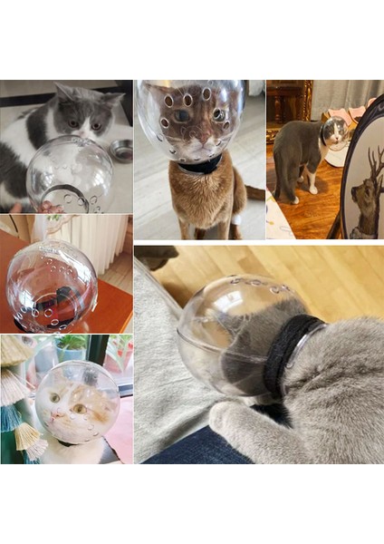 Beyaz Kedi Namlu Anti Bite Nefes Alabilir Bakım ve Bakım Alanı Hood Ağız Maskeleri Isırma Banyosu Bakım Evcil Hayvanlar Kediler Aksesuarları Için Ağızlıklar (Yurt Dışından) fırsatları
