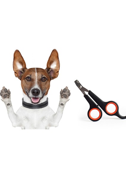 Renk 4 Renkli Pet Köpek Kedi Tırnak Makası Profesyonel Kesici Paslanmaz Çelik Bakım Makası Makas Yavru Köpekler Kediler Için Clipper (Yurt Dışından) indirimleri