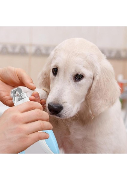 Açık Mavi Köpek Tırnak Makası LED Işıklı Kullanışlı Kedi Tırnak Makası Aşırı Kesmeyi Önlemek Için Kedi Makası Ücretsiz Tırnak Törpüsü Tıraş Bıçağı Bakımı (Yurt Dışından) modelleri