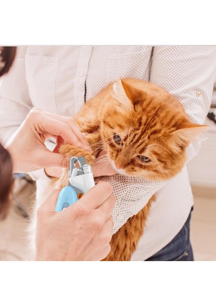 Açık Mavi Köpek Tırnak Makası LED Işıklı Kullanışlı Kedi Tırnak Makası Aşırı Kesmeyi Önlemek Için Kedi Makası Ücretsiz Tırnak Törpüsü Tıraş Bıçağı Bakımı (Yurt Dışından) fırsatları