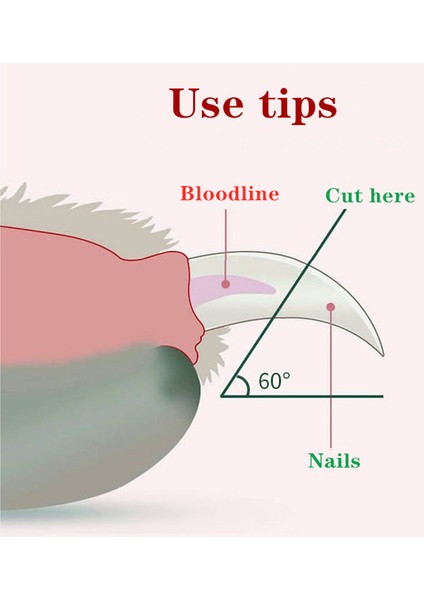 LED Işık 1 Profesyonel Evcil Hayvan Tırnak Makası LED Işık Evcil Hayvan Tırnak Makası Pençe Bakım Makası Küçük Köpekler Kediler Için Makas Köpek Aksesuarları (Yurt Dışından) indirimleri