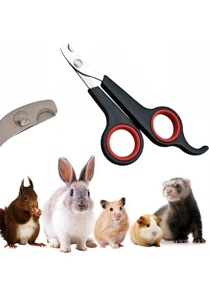 Renk 5 Renkli Pet Köpek Kedi Tırnak Makası Profesyonel Kesici Paslanmaz Çelik Bakım Makası Makas Yavru Köpekler Kediler Için Clipper (Yurt Dışından) fiyatları