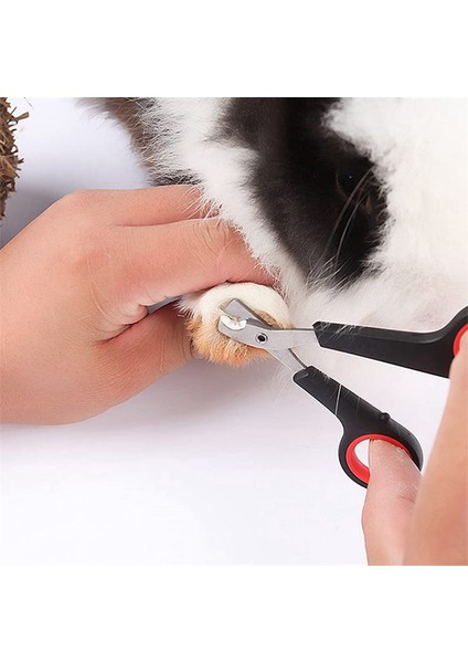 Renk 5 Renkli Pet Köpek Kedi Tırnak Makası Profesyonel Kesici Paslanmaz Çelik Bakım Makası Makas Yavru Köpekler Kediler Için Clipper (Yurt Dışından) modelleri