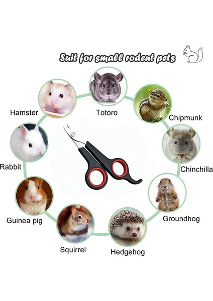 Renk 5 Renkli Pet Köpek Kedi Tırnak Makası Profesyonel Kesici Paslanmaz Çelik Bakım Makası Makas Yavru Köpekler Kediler Için Clipper (Yurt Dışından) fırsatları