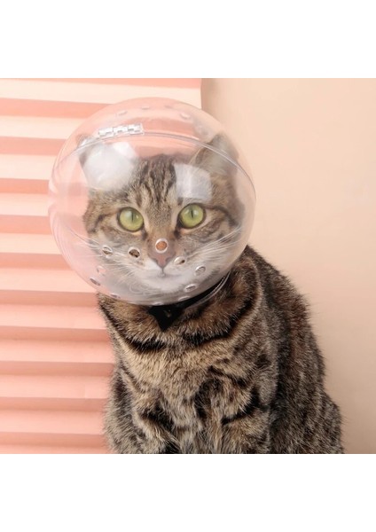 A M (143X130X66MM) Bakım Maskesi Kedi Namlu Anti-Isırık Nefes Maske Anti-Yalama Uzay Kaput Maskesi Kapak Namlu Kedi Banyo Bakım Malzemeleri Koruyun (Yurt Dışından) fırsatları