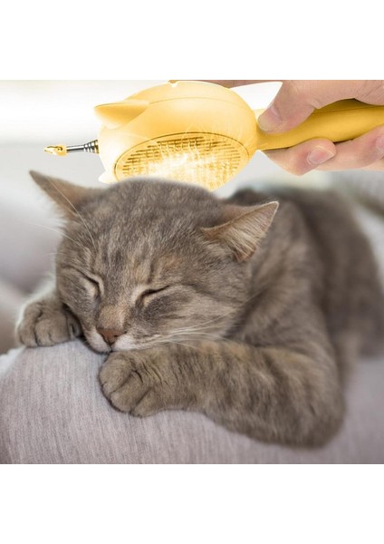 C Tüylü Evcil Hayvan Bakım Tarağı Kedi Saç Fırçası Kedi Sopa Oyuncaklar Yavru Kedi Oynarken Kedi Lazer Oyuncak Çok Fonksiyonlu Evcil Hayvan Ürünleri Kedi Aksesuarları (Yurt Dışından) modelleri