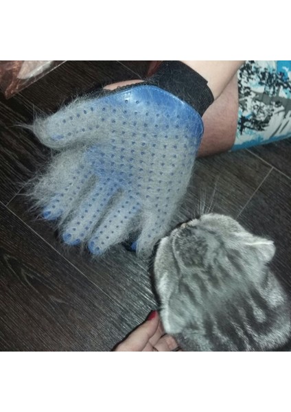 Sol El Mavi Ücretsiz Boyut Kedi Bakım Dökülme Fırçası Eldiven Dokunmatik Pet Köpek Nazik Verimli Sırt Masajı Kürk Yıkama Banyo Fırçası Tarak (Yurt Dışından) modelleri