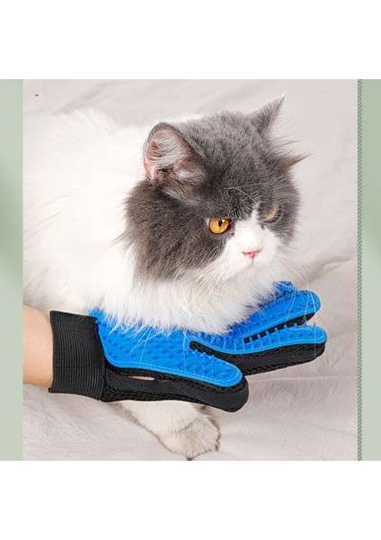 Mavi Sol M 18 X 24 Cm Kedi Bakım Eldiveni Evcil Hayvan Saç Çıkarıcı Eldiven Köpek Bakım Kediler Fırça Fırça Gatos Accesorios Kullanışlı Hızlı Tüyleri Kedi Köpekler (Yurt Dışından) fırsatları