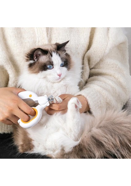 Roket Turuncu Profesyonel Evcil Hayvan Tırnak Makası Seti Dosya Pençe Bakım Makası ile LED Işık Küçük Köpekler Kediler Için (Yurt Dışından) fiyatları