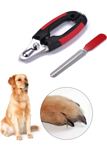 L 2 Adet/1 Takım Profesyonel Evcil Köpek Tırnak Makası Kesici Paslanmaz Çelik Bakım Makası Hayvanlar Kediler Için Makaslar Kilit Boyutu S (Yurt Dışından) fiyatları