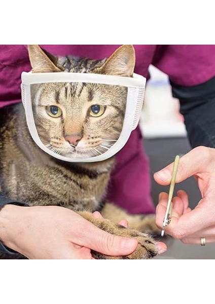 Beyaz M Şeffaf Kedi Namlu Nefes Köpekler Kediler Banyo Bakım Araçları Anti Bite Köpek Yavru Kedi Ağızlıklar Maske Ev Hayvanı Ürünü (Yurt Dışından) fiyatları