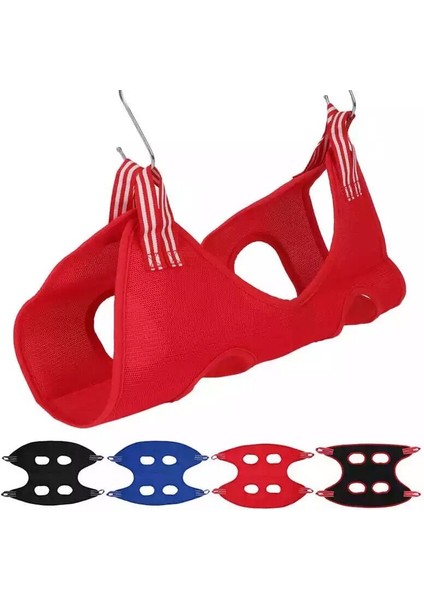 Siyah On Parça 1 M Yeni Evcil Bakım Hamak Koşum Köpek Hamak Kısıtlama Çantası Evcil Budama Seti Tarak Tırnak Makası Evcil Malzemeleri Evcil Bakım Araçları (Yurt Dışından) indirimleri