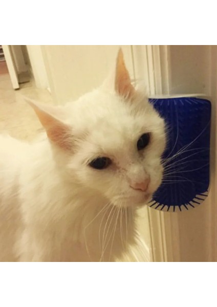 Mavi Kedi Kendini Penye Köşe Scrubber Damat Ayrılabilir Tarak Köpekler Kedi Fırça Saç Dökülme Kırpma Masajı Catnip Tutkal Takım Elbise (Yurt Dışından) modelleri