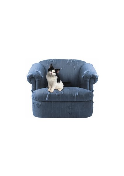 Gök Mavisi S 20 Adet/grup Kedi Tırnak Kapakları Yumuşak Kedi Pençe Kedi Pençesi Xs, S , M, L Ücretsiz Tutkal ile (Yurt Dışından)