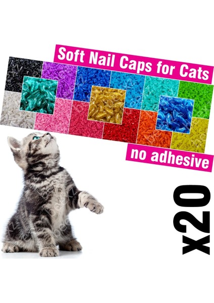 Mor (Yapışkansız) L 20 Adet - Kediler Için Yumuşak Tırnak Başlıkları /* Xs, S, M, L, Kapak, Kedi, Pençe, Pençe, Zet */ (Yurt Dışından)
