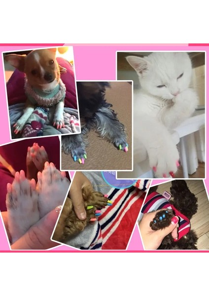 Gül L Renkli Kedi/köpek 20 Adet Silikon Yumuşak Kedi Tırnak Kapakları/kedi Pençe Pençesi/evcil Hayvan Tırnak su/kedi Tırnak Kapağı Tutkal ile Evcil Hayvanlar (Yurt Dışından) fırsatları