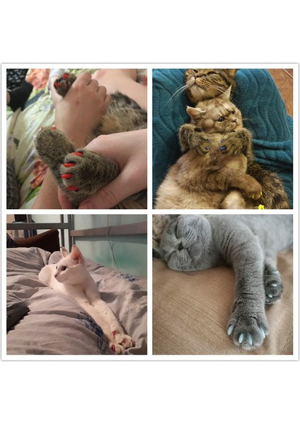 Köri Sarı L 100 Adet Silikon Yumuşak Kedi Tırnak Kapakları Kedi Paw Pençe Pet Tırnak Koruyucu Kediler Tırnak Kapağı Ücretsiz Tutkal ve Aplikatör ile Pet Malzemeleri (Yurt Dışından)