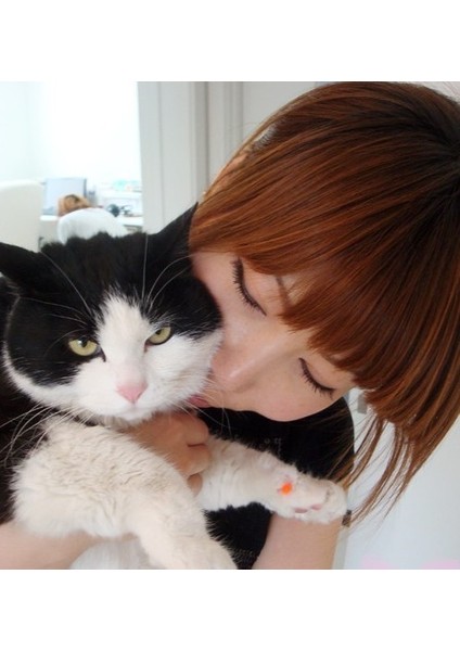 Açık Pembe M 20 Adet/grup Kedi Tırnak Kapakları Yumuşak Kedi Pençe Kedi Pençesi Xs, S , M, L Ücretsiz Tutkal ile (Yurt Dışından) fırsatları